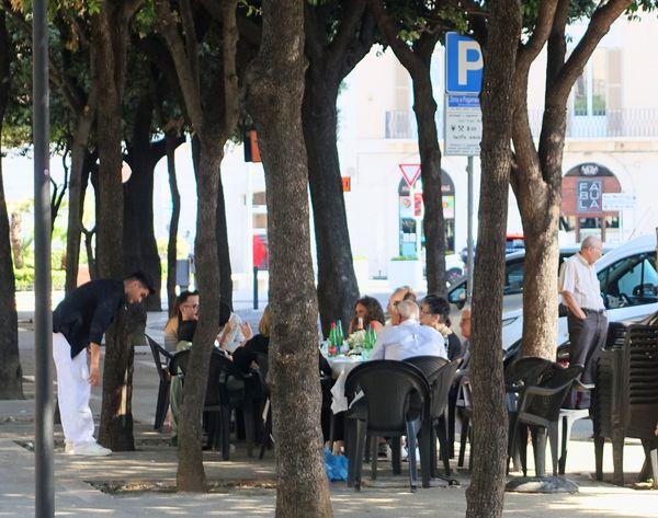 Et selskab i middagstunden på en plads mellem biler