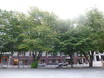 Renaissance Hotel ligger centralt i Hamborg